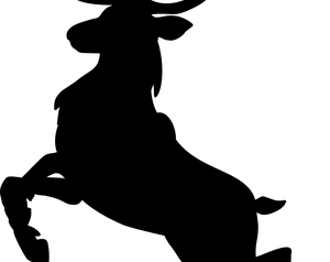 Acertijo 9